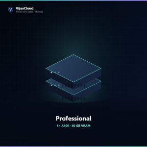 VijayCloud Professional plan — 1× A100 · 40 GB VRAM